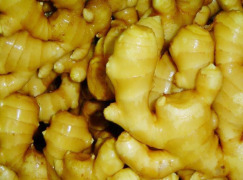 Ginger Root Extract Powder