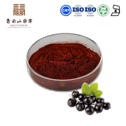 Black Currant Extract