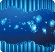 UltraHA™-GI-001 Special sodium hyaluronate for gut health