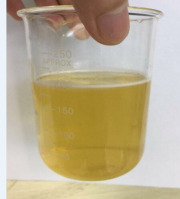 water-soluble green coffee bean extract powder