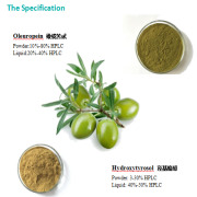 olive leaf extract powder