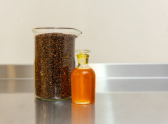 Sea buckthorn seed lipid extract