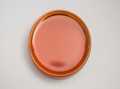 Natural Vitamin E (sunflower source)