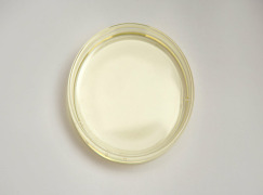 d-alpha tocopheryl acetate