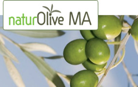 NATUROLIVE MA - MASLINIC ACID