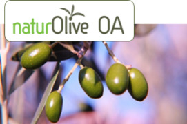 NATUROLIVE OA - OLEANOLIC ACID