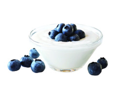 Functional Dairy Ingredients