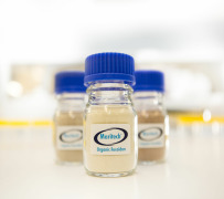 Maritech®  organic fucoidan