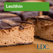 Lecithin