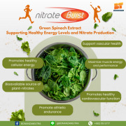 NitrateBurst™