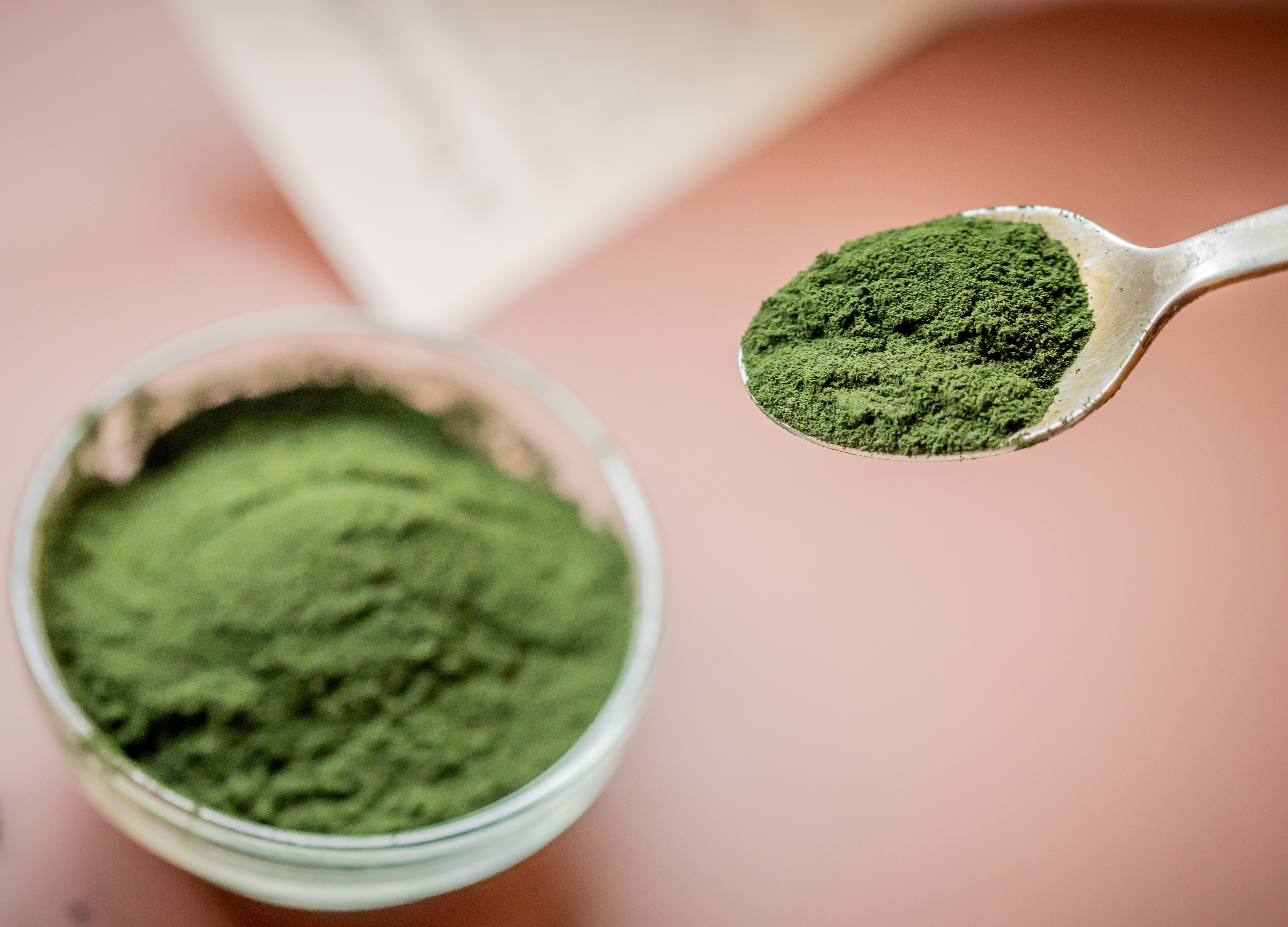 Chlorella Powder