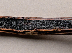 Natural Vanilla Products