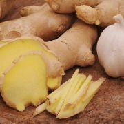 GINGERWARMER™（Ginger extract）