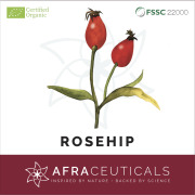 ROSEHIP - shell, tea cut & cold-pressed oil