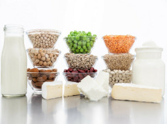 Fraunhofer IVV - Plant-based Product Development