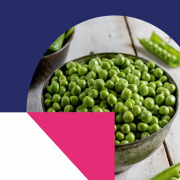 Animal and vegetable protein hydrolysates