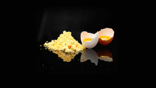 Egg Yolk Powder