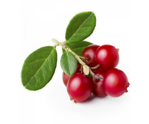 Lingonberries