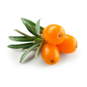 Sea- Buckthorn
