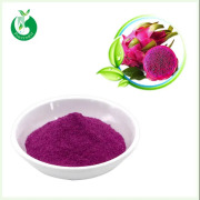 Freeze Dried Dragon Fruit Powder