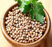 CORIANDER SEEDS
