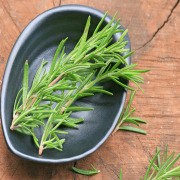 Rosemary Oil, Rosemary Oil Supplier, Rosemary Oil Manufacturer, Rosemary Oil Exporter, SCFE Co2 Rosemary Oil