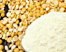 Pea Protein Concentrate
