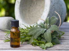 Herbal Extraction & Processing Enzymes