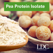 Pea Protein Isolate