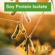Soy Protein Isolate