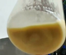 HYDROLYZED SOYA LECITHIN NON GMO