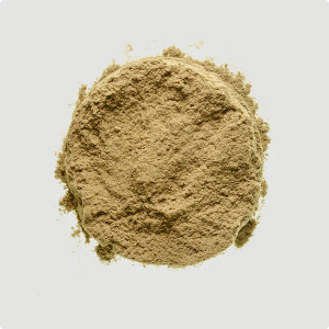 Biolane™ - Green-lipped mussel extract