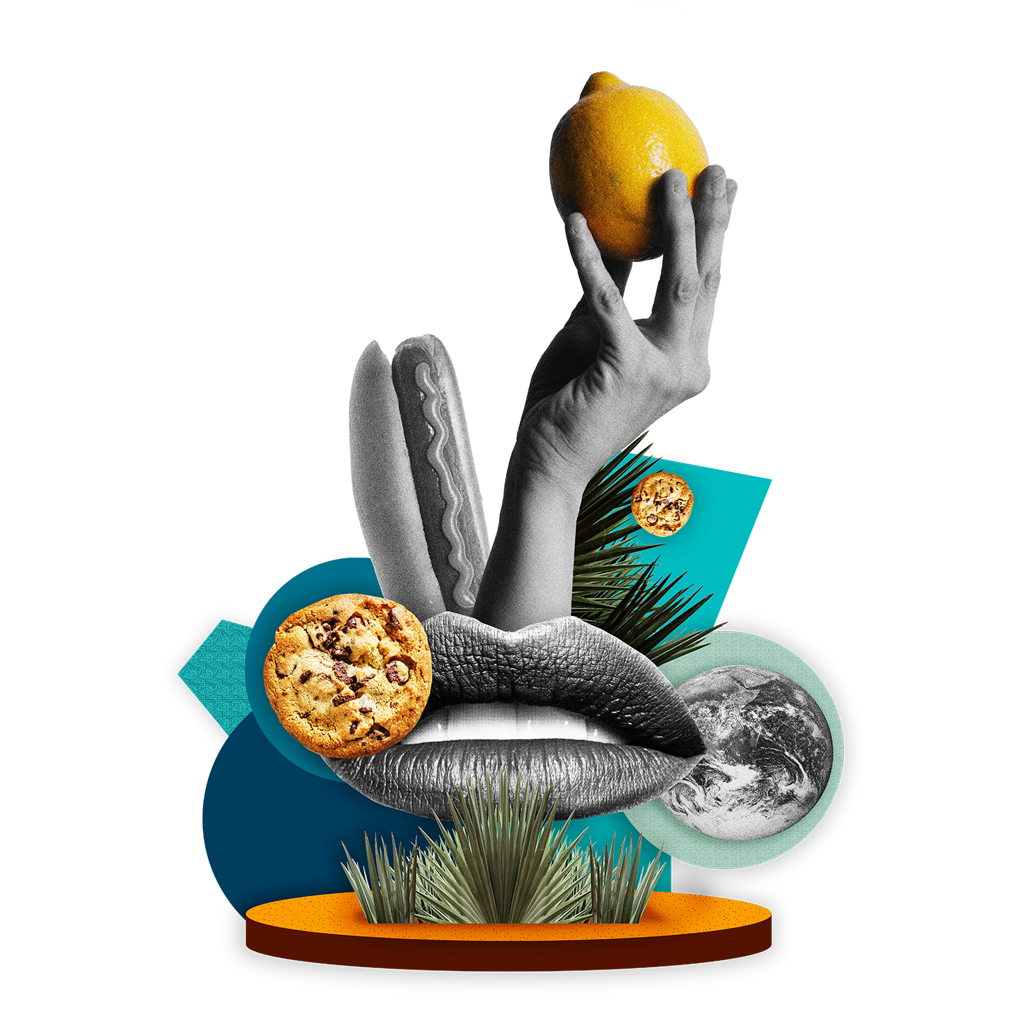 WITARIX® MCT 60/40 (MCT Oil)