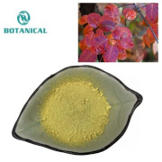 Cotinus coggygria extract Fisetin
