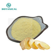 Ginger Root Extract
