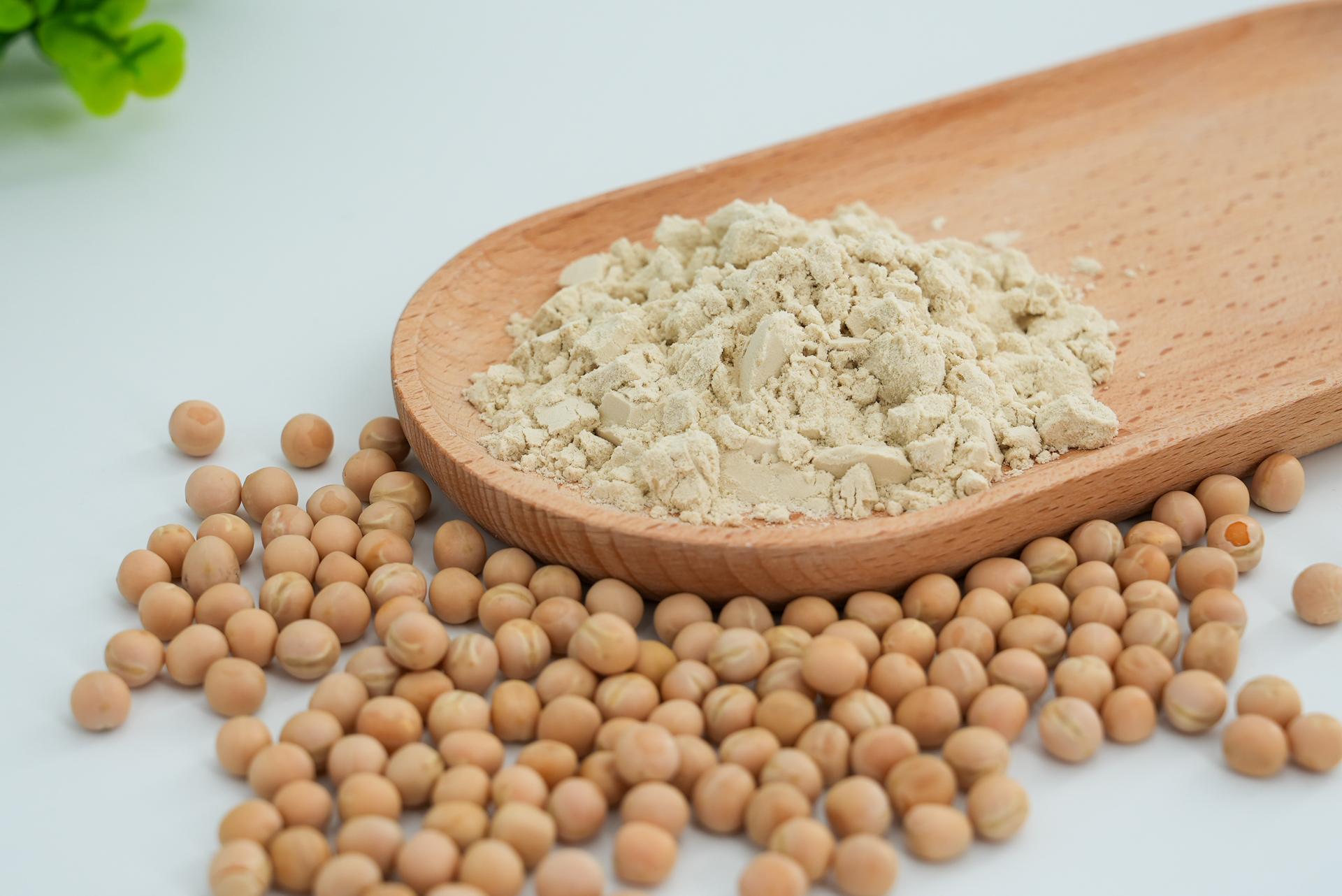 Pea Protein 80%, 85%, 90%