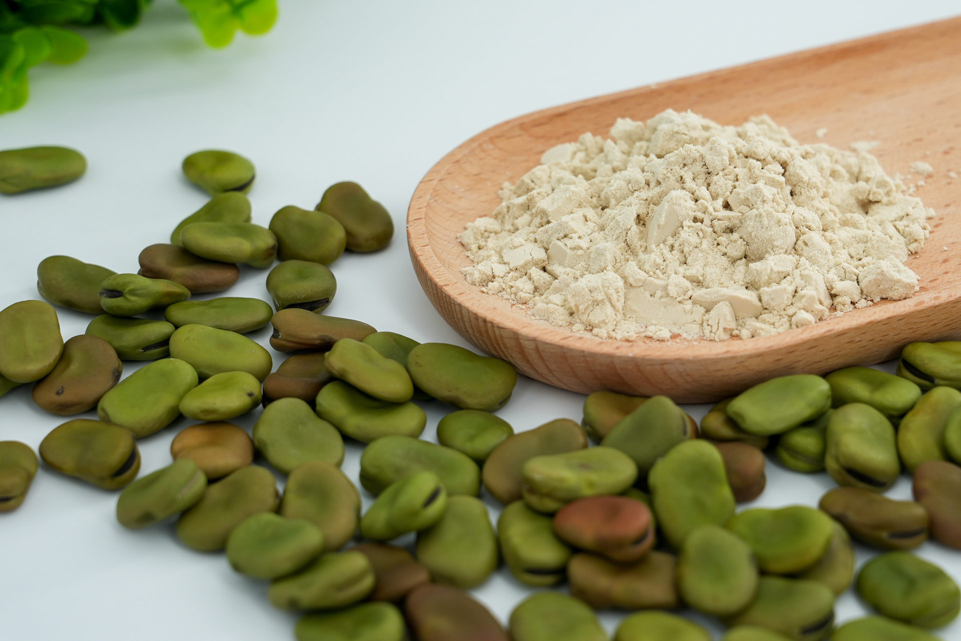 Fava Bean Protein 90%