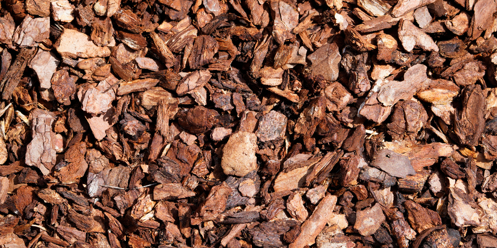 Maritime Pine Bark Powdered Extract  - Ratio 1000:1 (Oligopin)