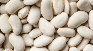 White Kidney Bean P.E. - 8000 UI
