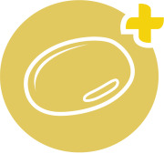 SunPS® Soya PhosphatidylSerine