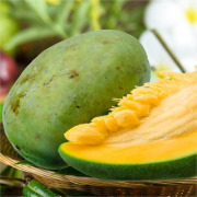 African Mango Seed Extract