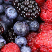 Berry Extracts from Eevia Health/Finland