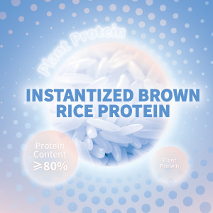 Plant-based Protein – Rice & Pea Premixed Protein | Instantized Brown Rice Protein