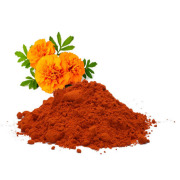 Marigold extract
