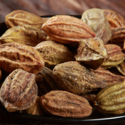 Belafort : Terminalia Belerica Extract