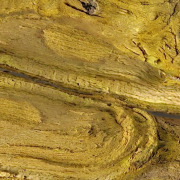 Alphaberin : Berberine HCL