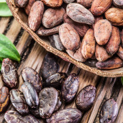 Cocoa Seed Extact
