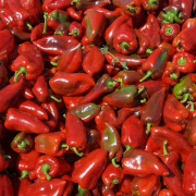 Paprika Extract