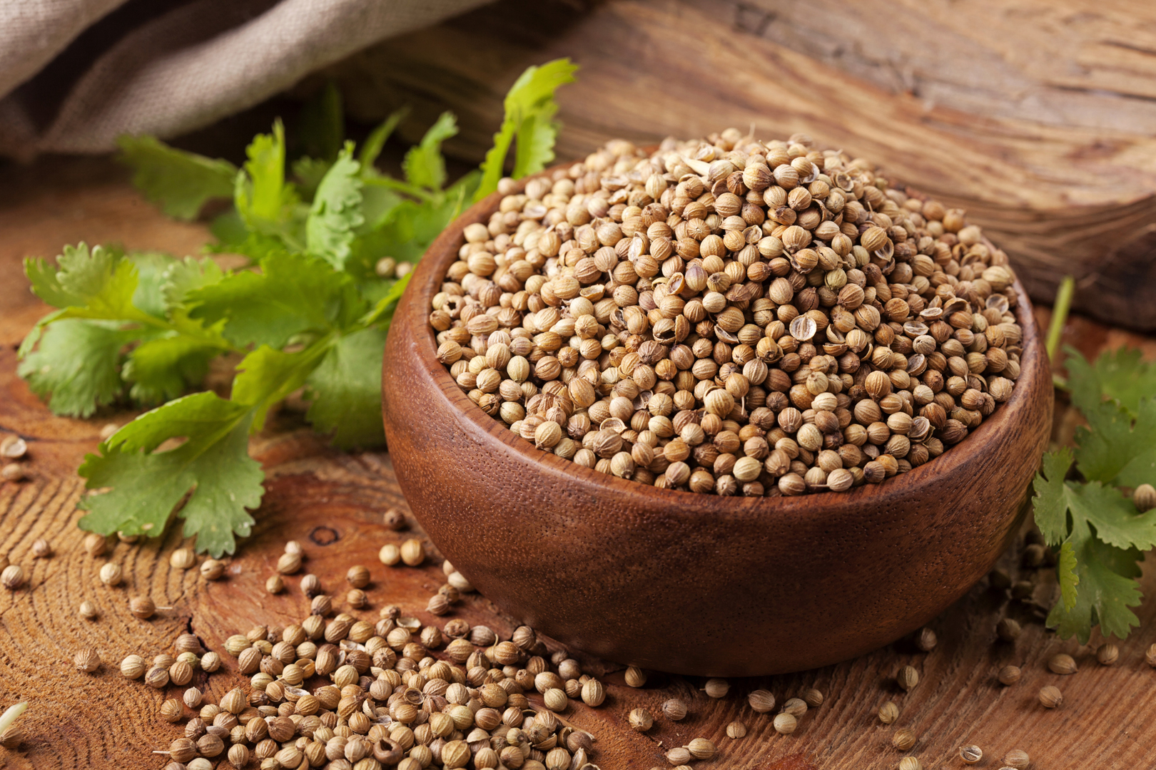 Coriander Seed