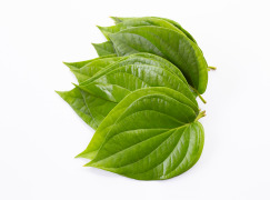 Betel Leaf Oil